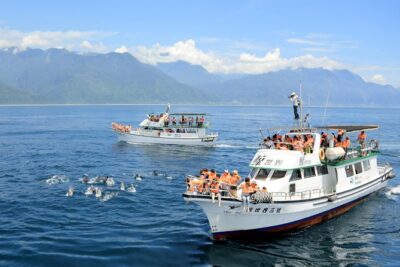 Taiwan Hualien Whale Watching Dolphin - From the harbor to the open sea: what the 2-hour outing really feels like