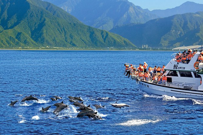 Taiwan Hualien Whale Watching Dolphin - Learning as you watch: the Hualien Interpreter Association commentary