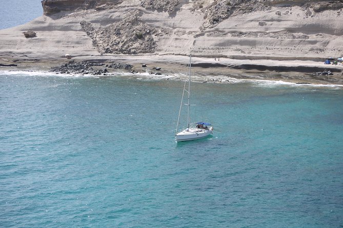 Tenerife 3-Hour Discover Whales and Dolphins - Why this Tenerife whale cruise feels different from big catamarans