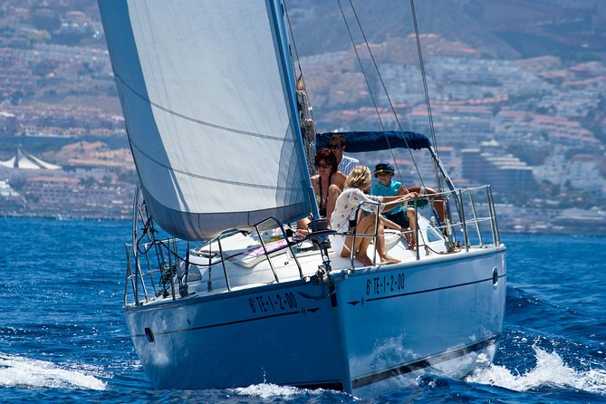 Tenerife 3-Hour Discover Whales and Dolphins - The ZEC search: how sightings usually happen on open water