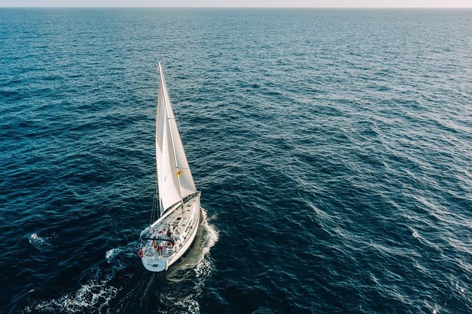 Tenerife 3-Hour Discover Whales and Dolphins - La Caleta de Adeje: the snorkel stop that turns the cruise into a swim day