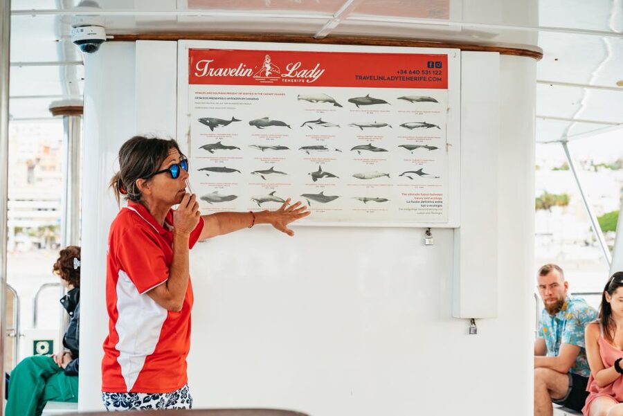 Tenerife: Eco-Yacht Whale and Dolphin Watching and Swimming - Key highlights worth booking