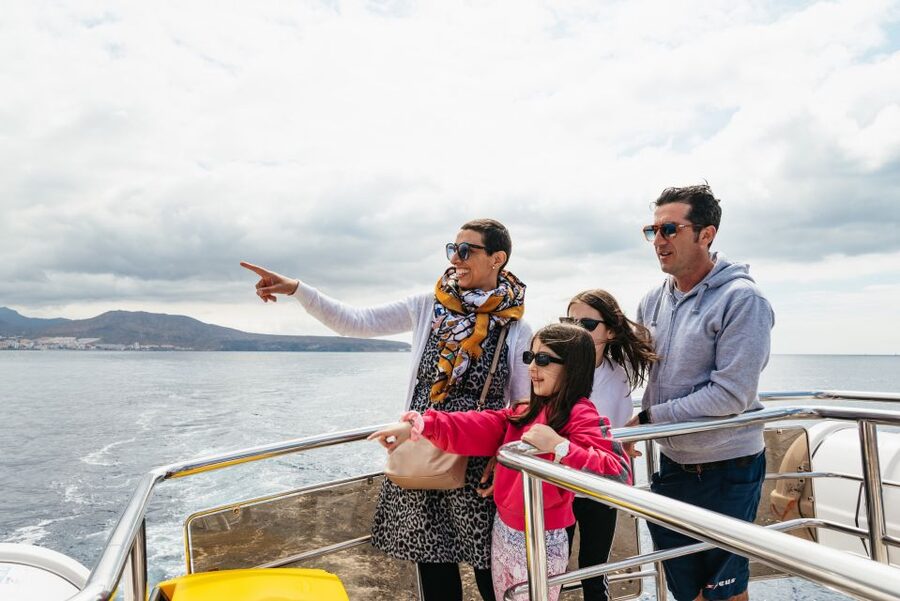 Tenerife: Eco-Yacht Whale and Dolphin Watching and Swimming - Motion sickness, Calima, and what to do before you leave the dock