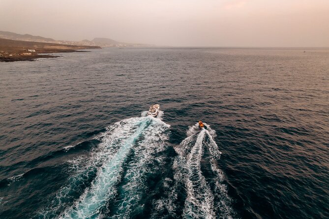 Tenerife Motor Boat Whale Watching & Snorkeling Experience - Puerto Colón: A Convenient Base Before and After the Trip