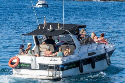 Tenerife Motor Boat Whale Watching & Snorkeling Experience - Price and Value: Is $69 a Fair Deal?