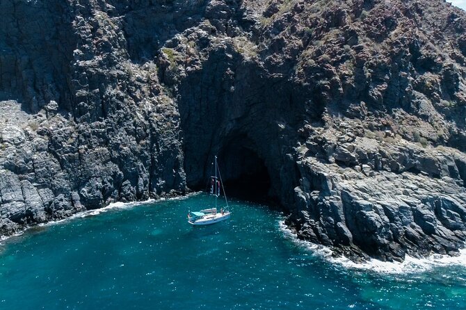 Tenerife Whale Watching and Snorkeling Yacht Trip - Key highlights to know before you go