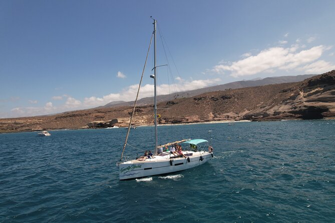 Tenerife Whale Watching and Snorkeling Yacht Trip - Puerto Colón start: where the trip actually begins