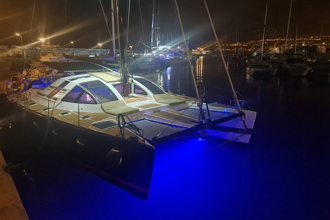 Tenerife Whale watching on private charter - The Abrazo catamaran: what private whale watching changes for you