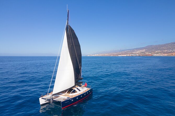 Tenerife Whale watching on private charter - Price and value: what you pay for with a private group