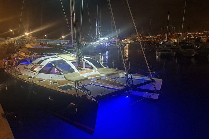 Tenerife Whales and Dolphins Watching Experience in Catamaran - A South-Coast Whale Trip That’s Actually Purpose-Built