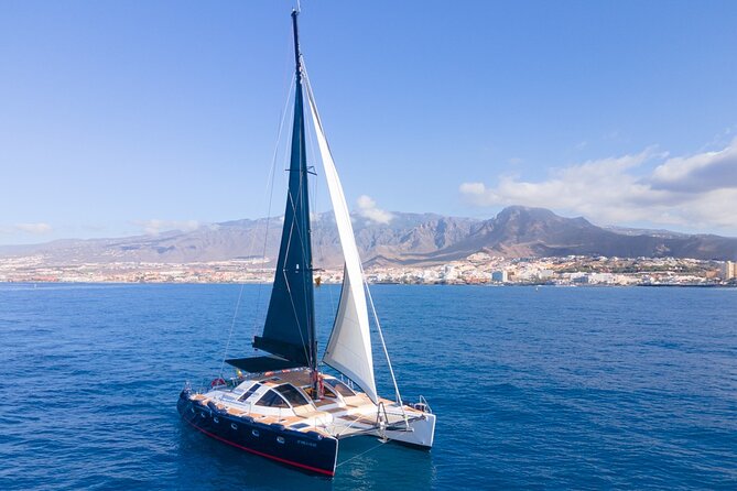 Tenerife Whales and Dolphins Watching Experience in Catamaran - Captains, Crew, and the Explanations That Improve Your Spotting