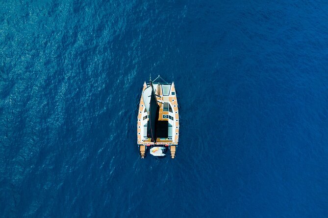 Tenerife Whales and Dolphins Watching Experience in Catamaran - Price and Value: Why This One Can Feel Like a Smart Trade