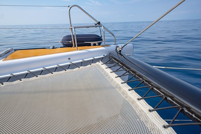 Tenerife Whales and Dolphins Watching Experience in Catamaran - Who This Tour Suits Best