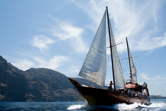 Tenerife : Whales and Dolphins with Food and Bath in Los Gigantes - Timings from Puerto Colón: how the day actually breaks down