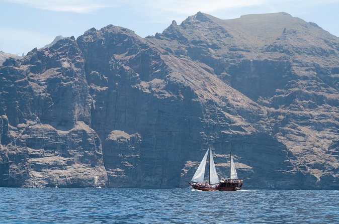 Tenerife : Whales and Dolphins with Food and Bath in Los Gigantes - Stop 1: Puerto Colón whale and dolphin search that’s guided in real time