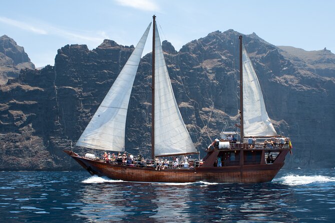 Tenerife : Whales and Dolphins with Food and Bath in Los Gigantes - Stop 2: Los Gigantes cliffs (600 meters tall) and your swim stop