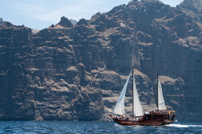 Tenerife : Whales and Dolphins with Food and Bath in Los Gigantes - Lunch and drinks on board: what’s included, what it tastes like, and what to expect