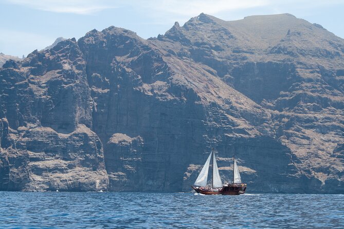 Tenerife : Whales and Dolphins with Food and Bath in Los Gigantes - What’s not included (and what you should bring anyway)