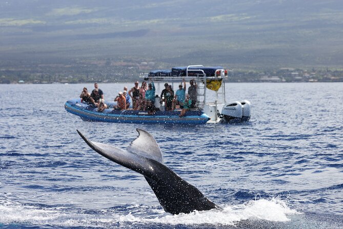 The Best 10 am 1.5 Hour Whale Watching Tour - How the Crew Finds Whales Fast and Why Tours Sometimes Stretch