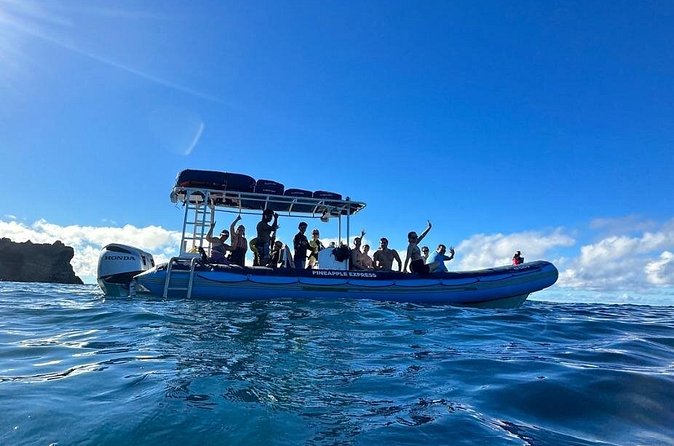 The Best 10 am 1.5 Hour Whale Watching Tour - Value for $97.30: What You’re Actually Paying For