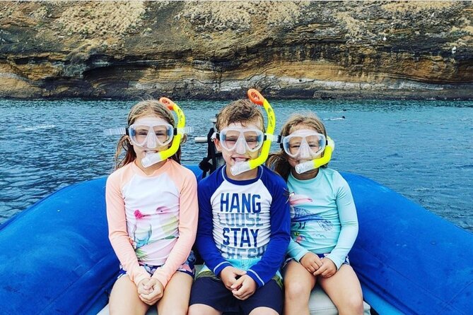 The Best 2.5 Hour Molokini Snorkel Tour & Whale Watch - Key highlights that make this tour worth your time