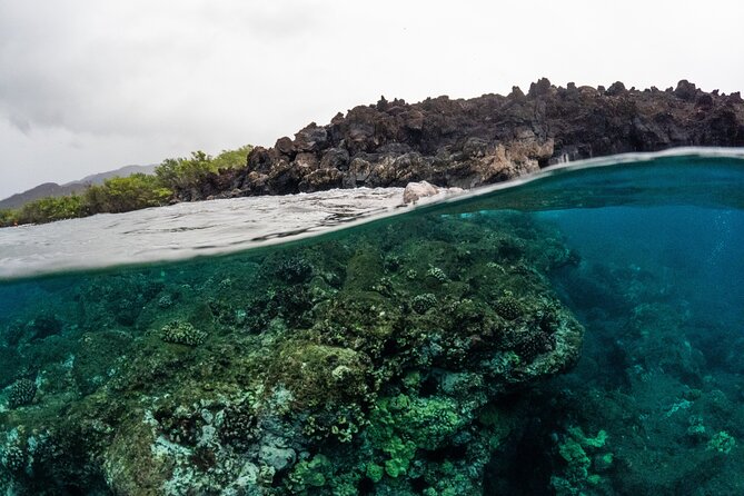 The Best 2.5 Hour Molokini Snorkel Tour & Whale Watch - Why the later departure helps, and how to plan your day