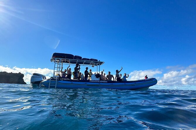The Best 2.5 Hour Molokini Snorkel Tour & Whale Watch - What kind of traveler this fits best