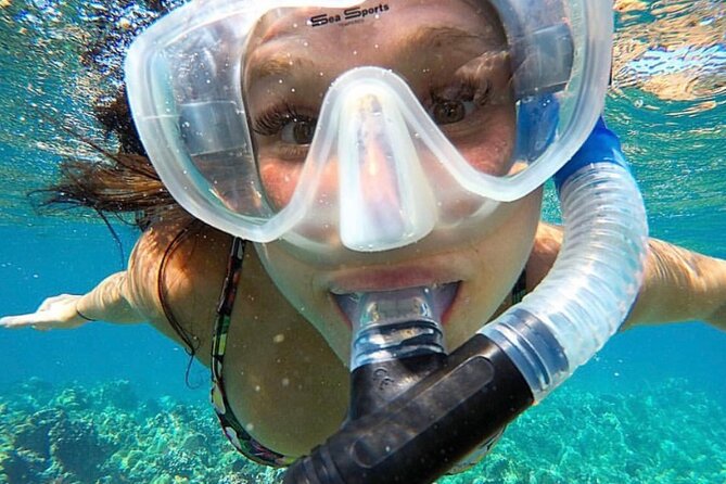 The Best 2.5 Hour Molokini Snorkel Tour & Whale Watch - Should you book this Molokini Snorkel and Whale Watch tour?