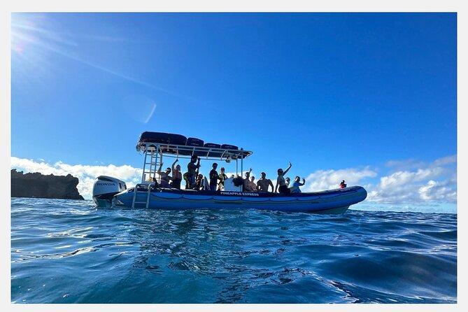 The Best 8 am 1.5 Hour Whale Watching Tour - Hydrophone Listening: When Whale Song Becomes Real