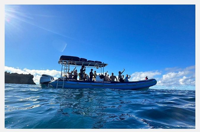 The Best 8 am 1.5 Hour Whale Watching Tour - Crew and Captains: Friendly Guidance With Real Safety Focus
