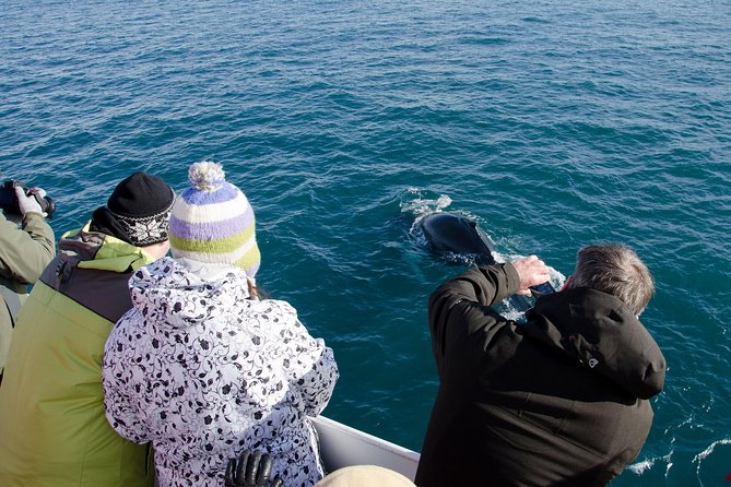 The Original Classic Whale Watching from Reykjavik - Gear Check for Cold Deck Time: Overalls, Raincoats, Blankets, and Layers
