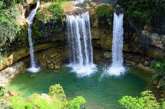 Tour with Whale Watching in Samaná, Beach and Waterfall - From Punta Cana to Samaná: what kind of day this is