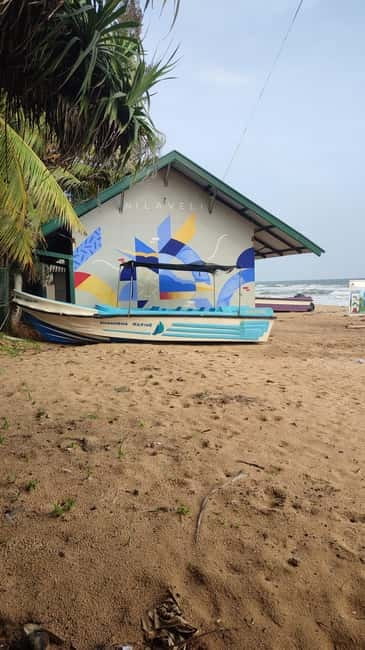 Trincomalee: Dolphin & Whale Watching Boat Tour - Key things to know before you go on a Trincomalee dolphin and whale boat tour