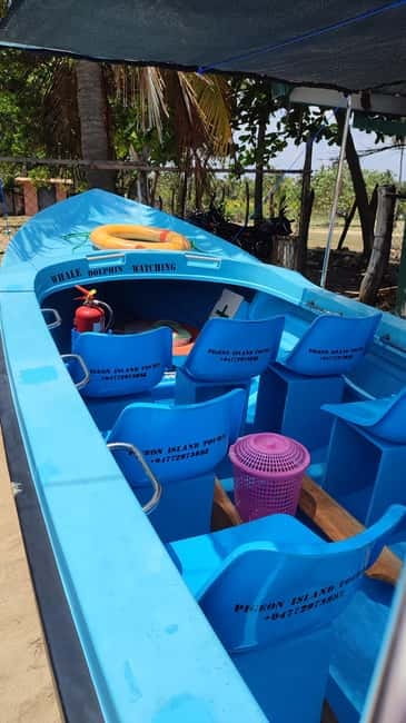 Trincomalee: Dolphin & Whale Watching Boat Tour - Where Trincomalee and Nilaveli fit into Sri Lanka’s whale calendar