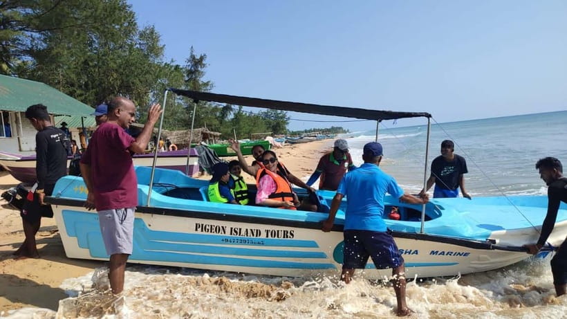 Trincomalee: Dolphin & Whale Watching Boat Tour - The dolphin payoff: when the ocean turns into a show