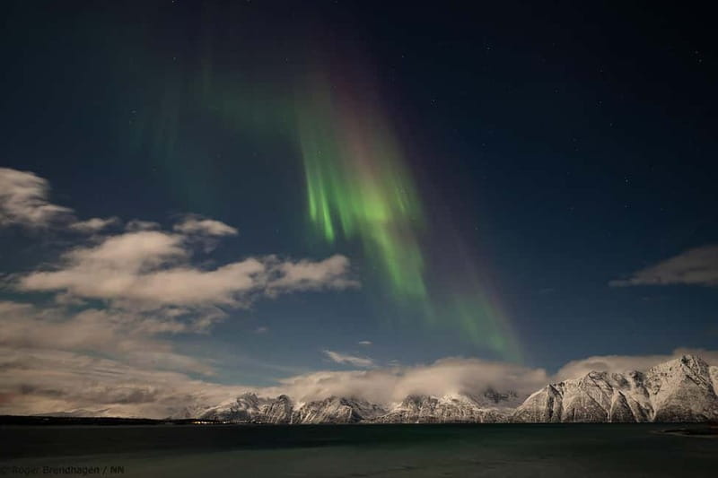 Tromsø: 24hr Northern Lights & Whale Watching Cruise - Boarding at Tromsø Harbour Prostneset: Your Day Starts at 19:00