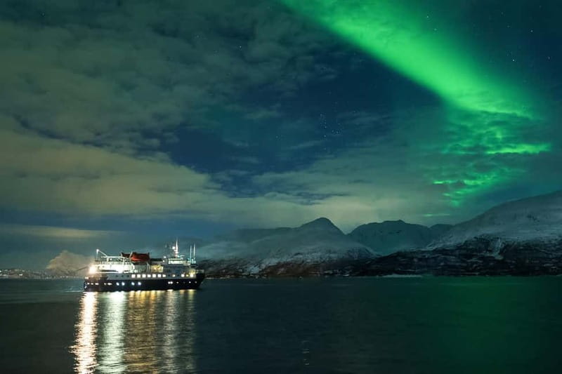 Tromsø: 24hr Northern Lights & Whale Watching Cruise - Dinner at 20:30: Warm Food That Doesn’t Waste Your Energy