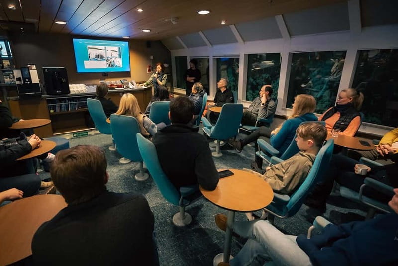 Tromsø: 24hr Northern Lights & Whale Watching Cruise - Breakfast at 08:00, Fjord Mountains, and a Glacier Ahead