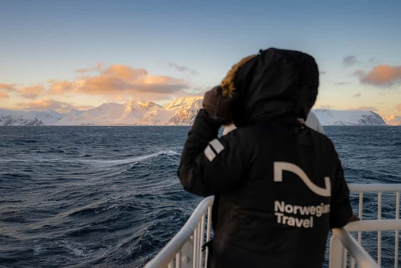 Tromsø: 24hr Northern Lights & Whale Watching Cruise - Whale Watching for the Full Morning: Orcas, Humpbacks, and Sea Eagles
