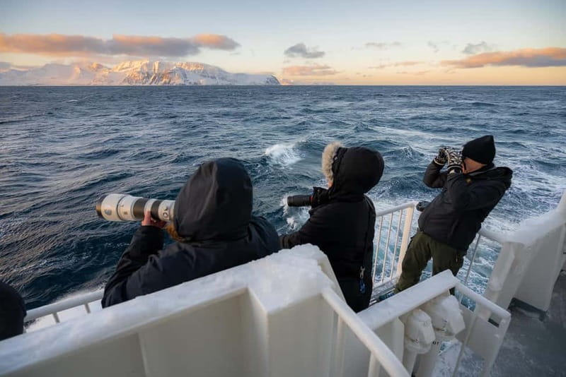 Tromsø: 24hr Northern Lights & Whale Watching Cruise - Cabin Comfort and the Ship’s Winter Setup