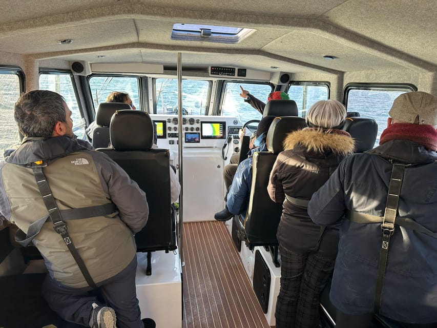 Tromsø: Orca and Whale Watching comfort heated boat Trip - Tromsø to Skjervøy: the bus ride that keeps you warm and ready