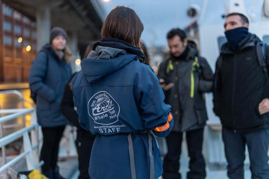 Tromsø: Responsible Whale Watching Cruise Aboard MS Alba - Tromsø in winter: why this cruise works (and why it feels special)