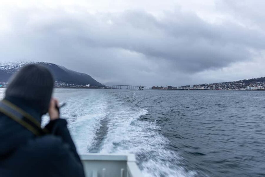 Tromsø: Responsible Whale Watching Cruise Aboard MS Alba - Whale Pass rebooking: how it protects your money