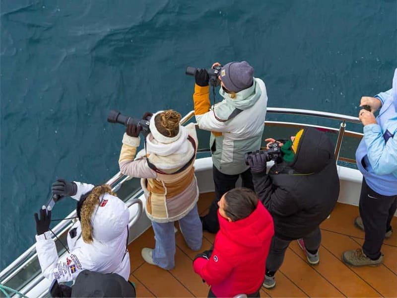 Tromsø: Whale Watching on hybrid boat with scenic bustrip - Hybrid-electric whale watching from Tromsø to Skjervøy