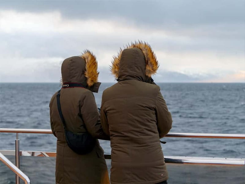 Tromsø: Whale Watching on hybrid boat with scenic bustrip - The 9-hour rhythm: boat-first or bus-first, then back to Tromsø