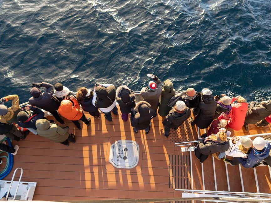 Tromsø: Whale Watching Tour by Hybrid-Electric Boat - Comfort on board: heated saloons, panoramic views, and onboard Wi‑Fi