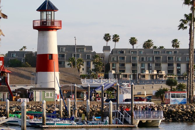 Two-Hour Luxury Whale Watching Tour from Oceanside - Your onboard setup: 50-foot catamaran comfort without the fuss