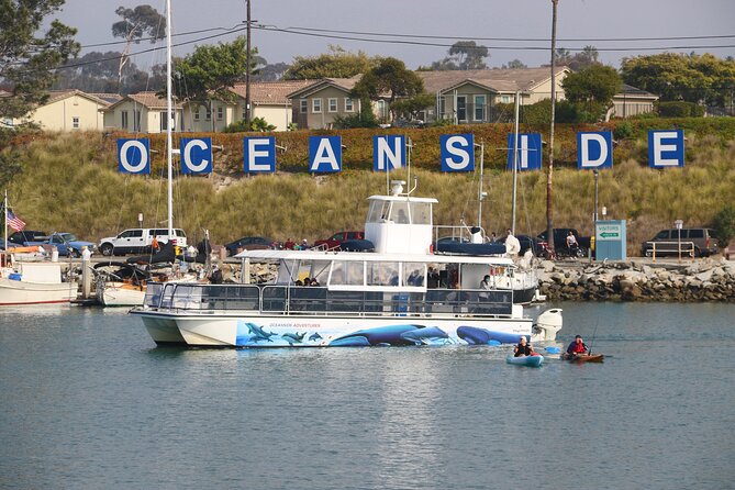 Two-Hour Luxury Whale Watching Tour from Oceanside - Whales, dolphins, and sea lions: setting expectations the right way