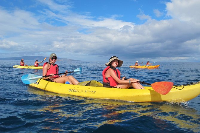 Ultimate Maui Whale Watch Snorkel Tour - Key highlights you’ll care about