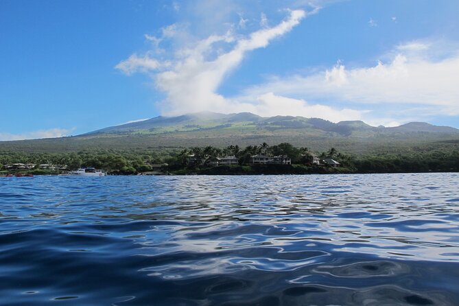 Ultimate Maui Whale Watch Snorkel Tour - Your 7:15 AM start at 5232A Makena Alanui